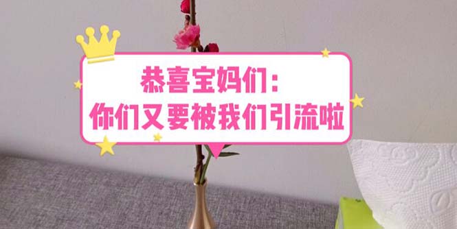 【虎哥副业项目5918期】恭喜宝妈们：你们又要被我们引流了（教程+222g资料）缩略图