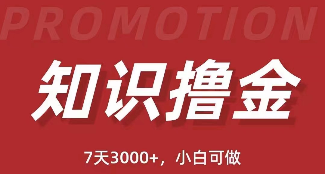 【虎哥副业项目5702期】抖音知识撸金项目：简单粗暴日入1000+执行力强当天见收益(教程+资料)缩略图