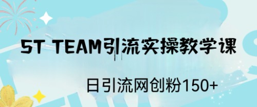 【虎哥副业项目6745期】ST TEAM引流实操课，日引流网创粉100+缩略图