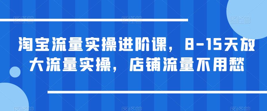 【虎哥副业项目6415期】淘宝流量实操进阶课，8-15天放大流量实操，店铺流量不用愁缩略图