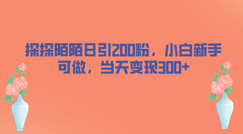 【虎哥副业项目7026期】探探陌陌日引200粉，小白新手可做，当天就能变现300+缩略图