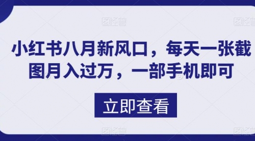 【虎哥副业项目7078期】八月新风口，小红书虚拟项目一天收入1000+缩略图