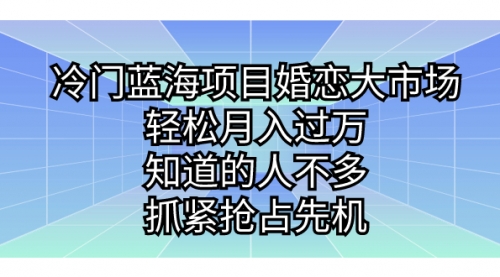 【虎哥副业项目7246期】冷门蓝海项目婚恋大市场，轻松月入过万缩略图