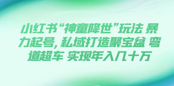 【虎哥副业项目7983期】小红书“神童降世”玩法 暴力起号,私域打造聚宝盆缩略图