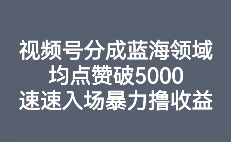 【虎哥副业项目8023期】视频号分成蓝海领域，均点赞破5000，速速入场暴力撸收益缩略图