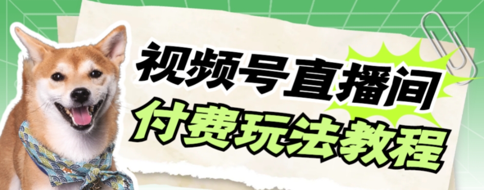 【虎哥副业项目7973期】视频号美女付费无人直播，轻松日入500+缩略图