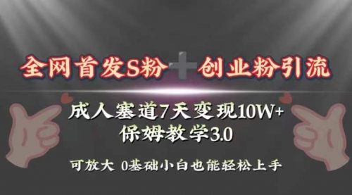 【虎哥副业项目8506期】成人用品赛道7天变现10w+保姆教学3.0缩略图