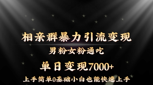 【虎哥副业8845期】相亲群暴力引流男粉女粉通吃变现玩法，单日变现7000+保姆教学1.0缩略图